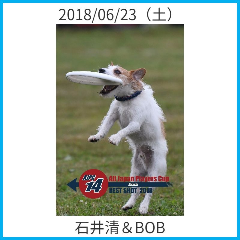 石井清＆BOB