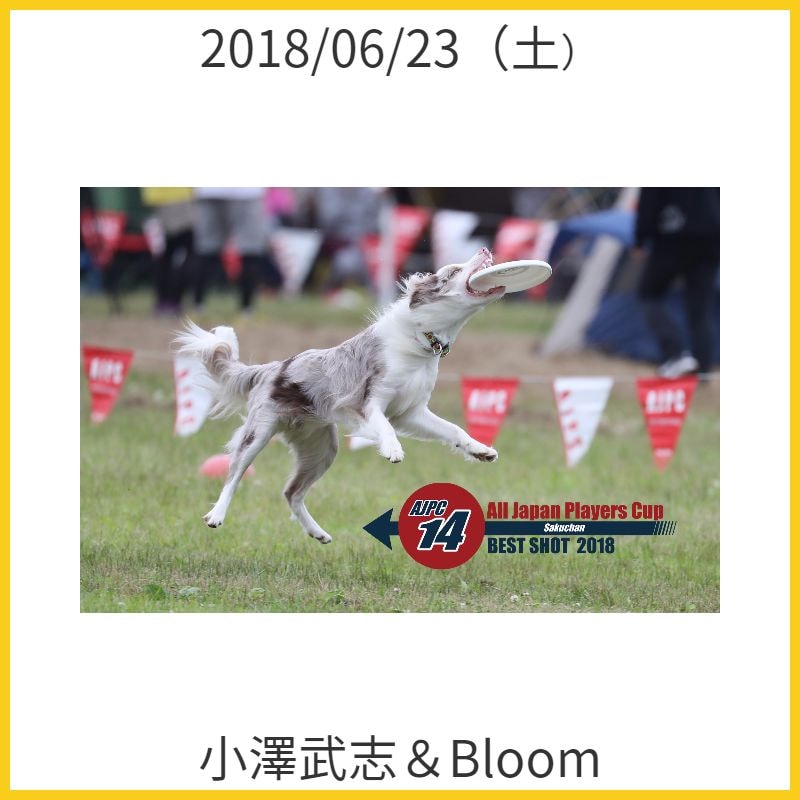 小澤武志＆Bloom