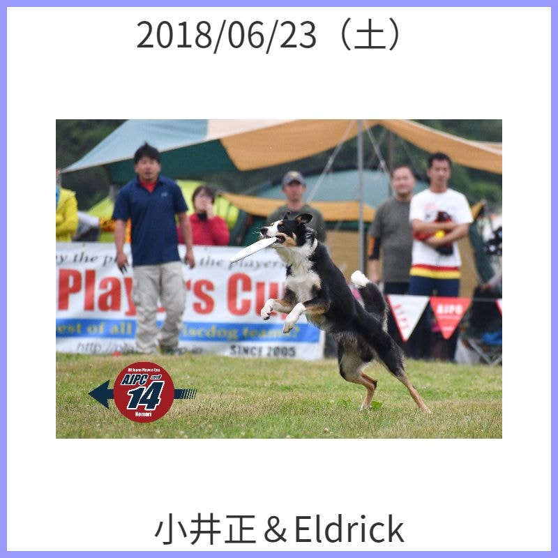 小井正＆Eldrick